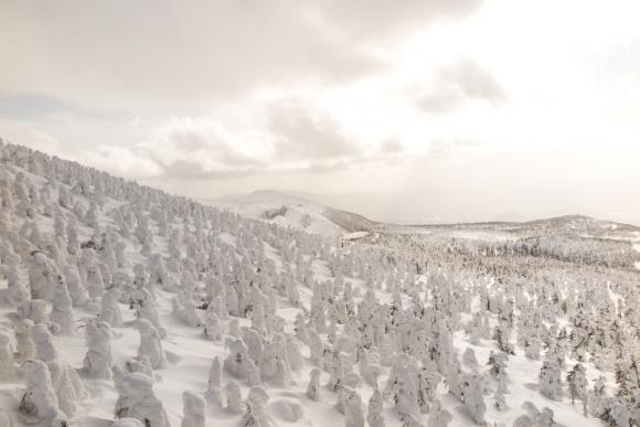 Snow Monsters