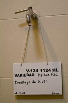 Tapping Malbec