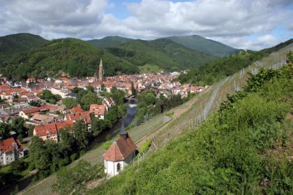 Rangen Clos St Urbain